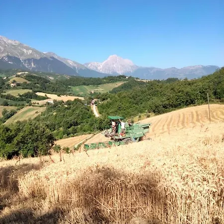 Le Ginestre Nocleg ze śniadaniem *