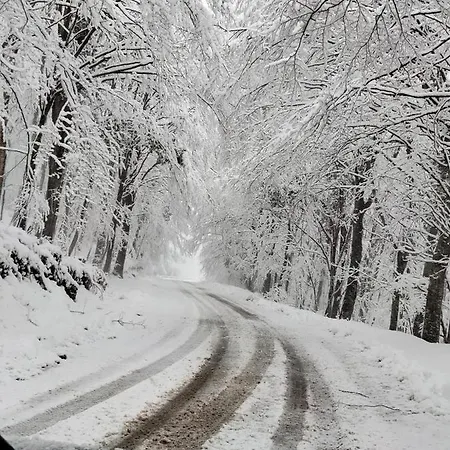 Le Ginestre Castelli
