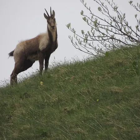 Nocleg ze śniadaniem Le Ginestre