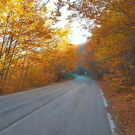 Nocleg ze śniadaniem Le Ginestre *