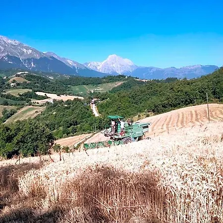 Le Ginestre Castelli