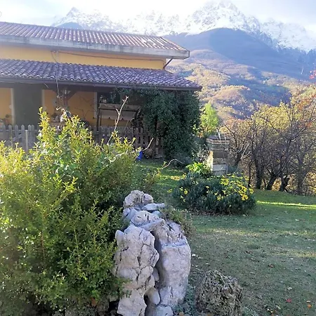 Le Ginestre