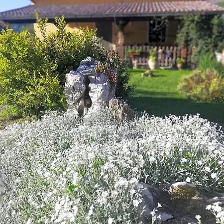 Alojamento de Acomodação e Pequeno-almoço Le Ginestre Castelli