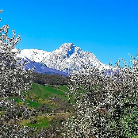 Le Ginestre *