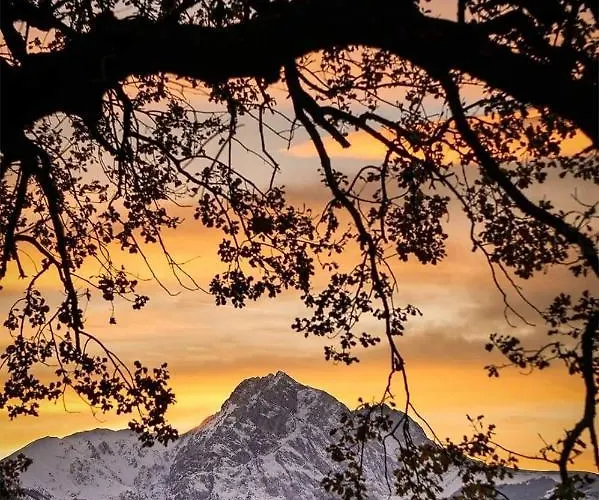 לינה וארוחת בוקר Le Ginestre