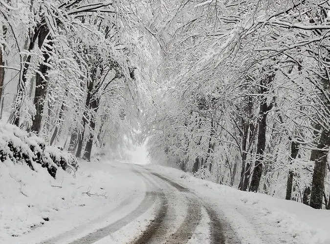 Le Ginestre Castelli